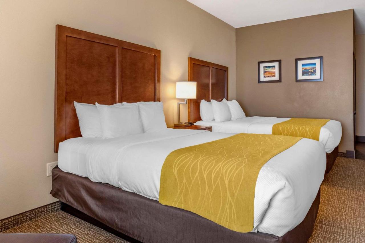 Comfort Inn & Suites Edgewood Bagian luar foto