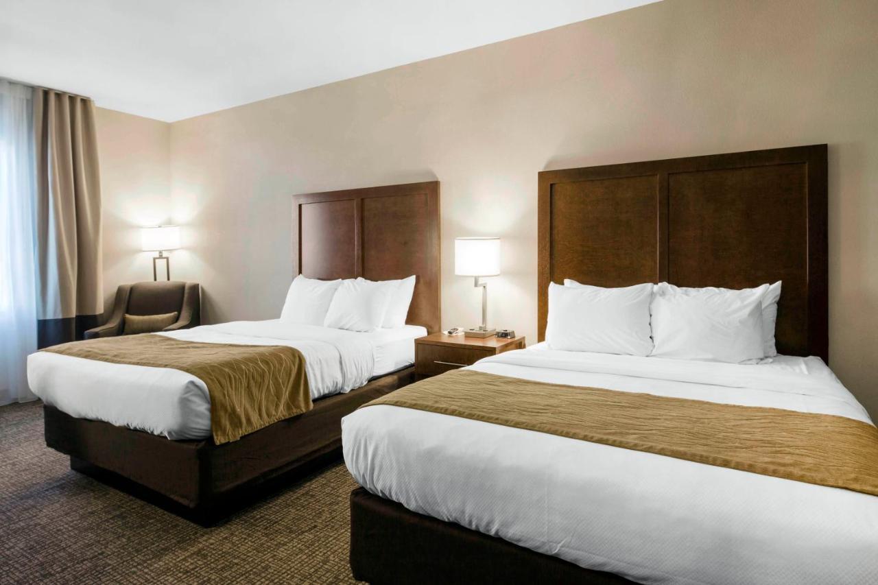 Comfort Inn & Suites Edgewood Bagian luar foto